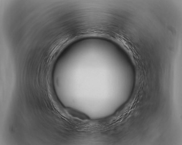 X0000113340097200909151014
