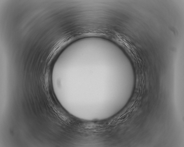 X0000113340098200909151014