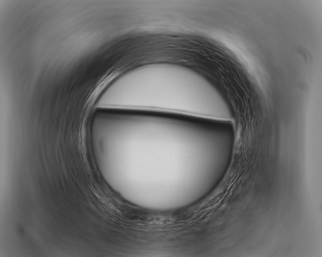 X0000113340099200909151014