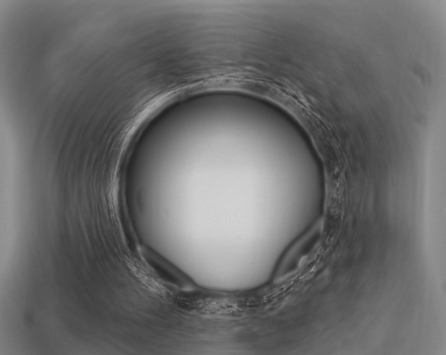 X0000113340100200909151014