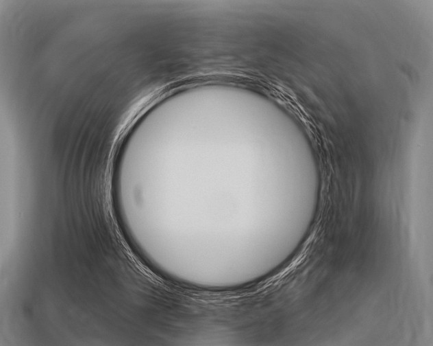 X0000113340101200909151014