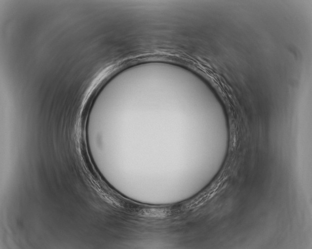 X0000113340102200909151014