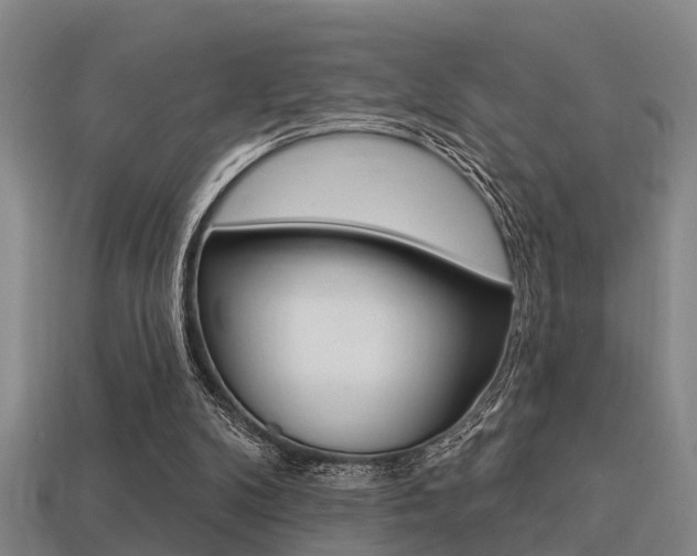 X0000113340104200909151014