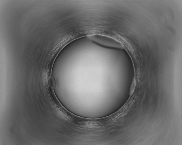 X0000113340105200909151014