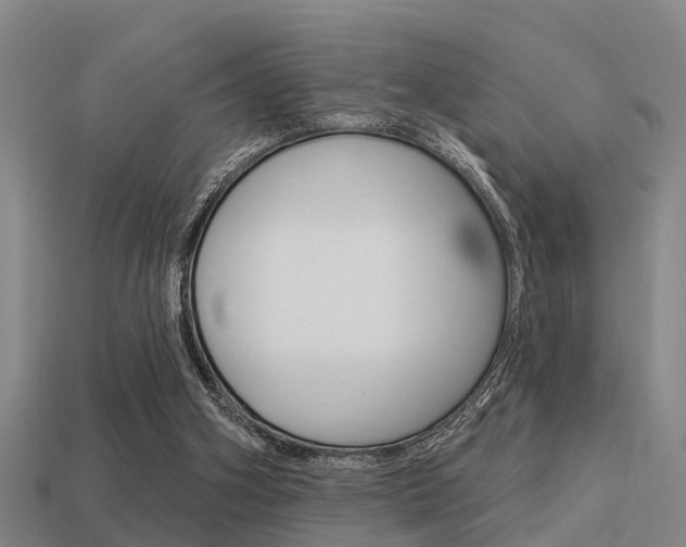 X0000113340106200909151014