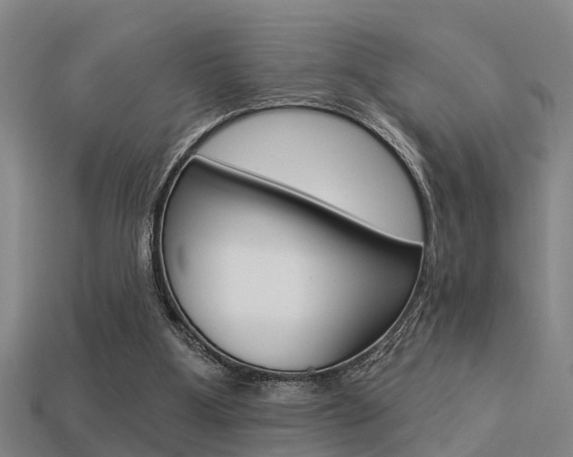 X0000113340107200909151014