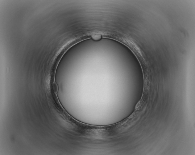 X0000113340108200909151014