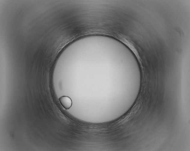 X0000113340109200909151014