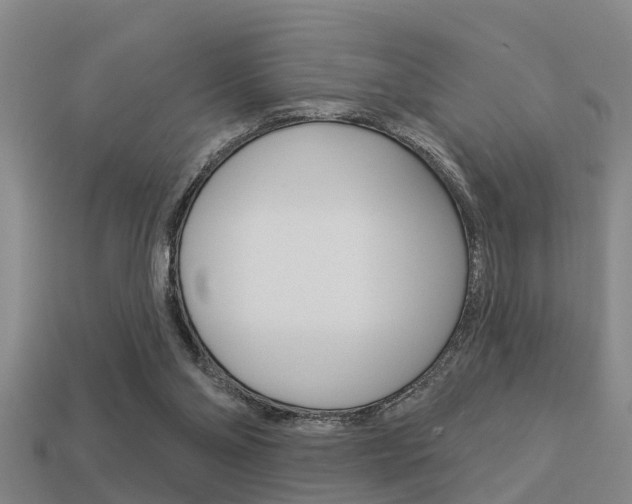 X0000113340110200909151014