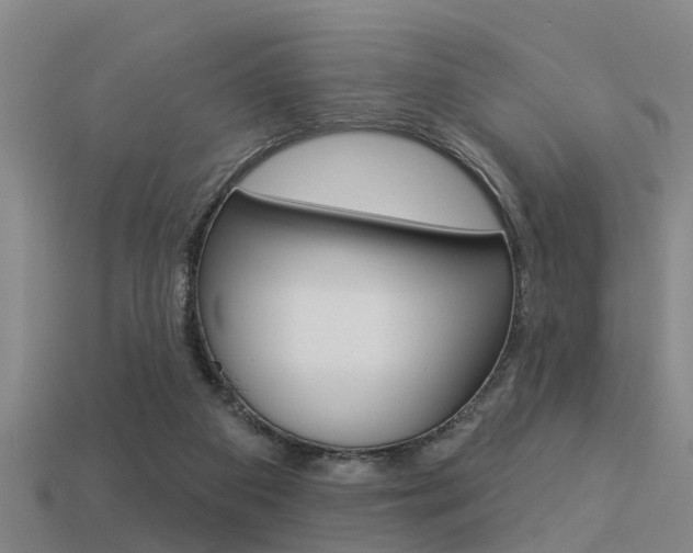 X0000113340113200909151014
