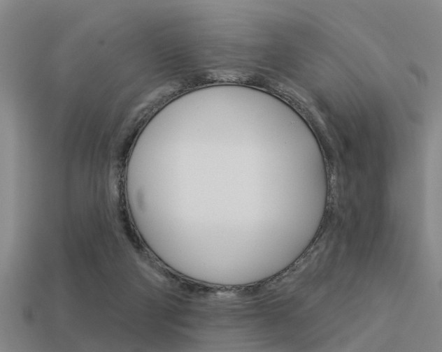 X0000113340114200909151014