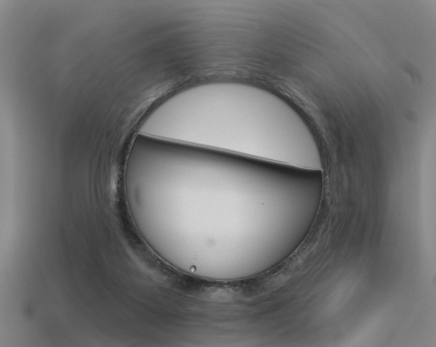 X0000113340115200909151014