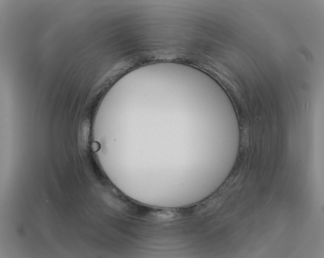 X0000113340118200909151014