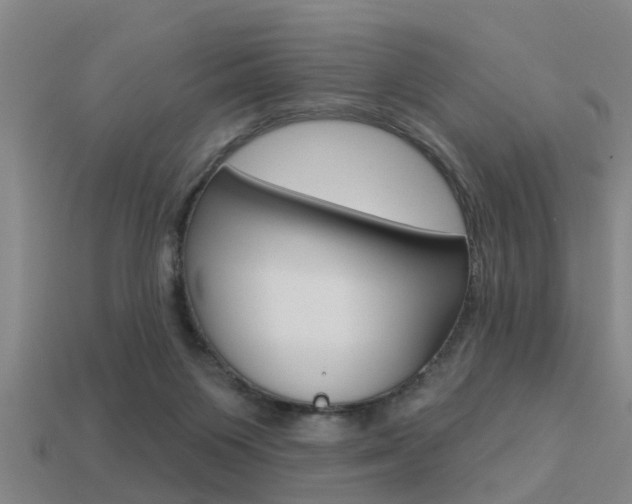 X0000113340119200909151014
