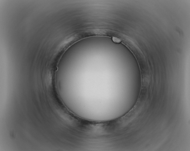 X0000113340120200909151014