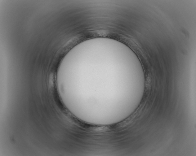 X0000113340122200909151014