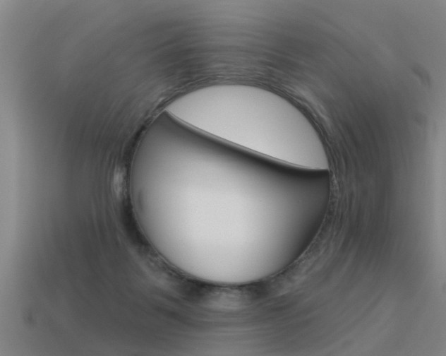 X0000113340123200909151014