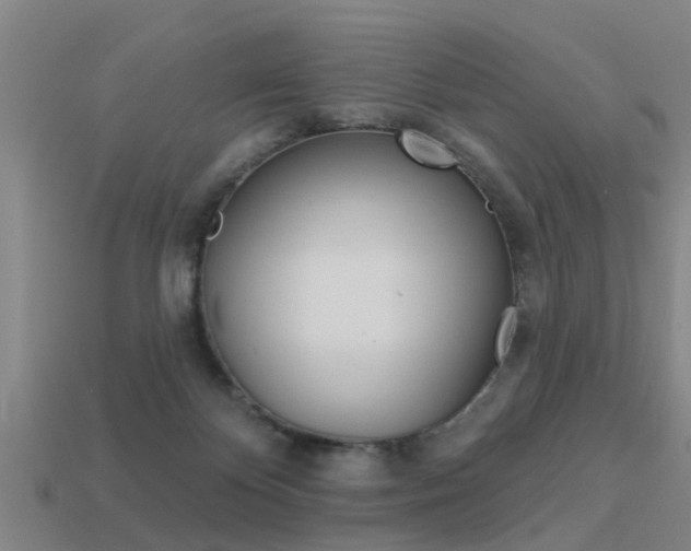 X0000113340124200909151014