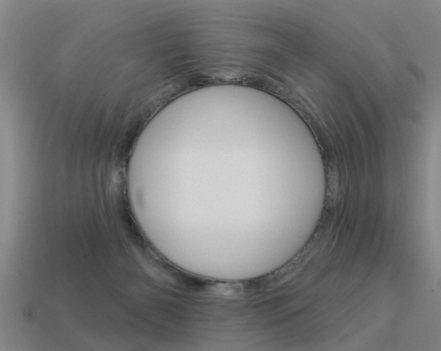 X0000113340126200909151014