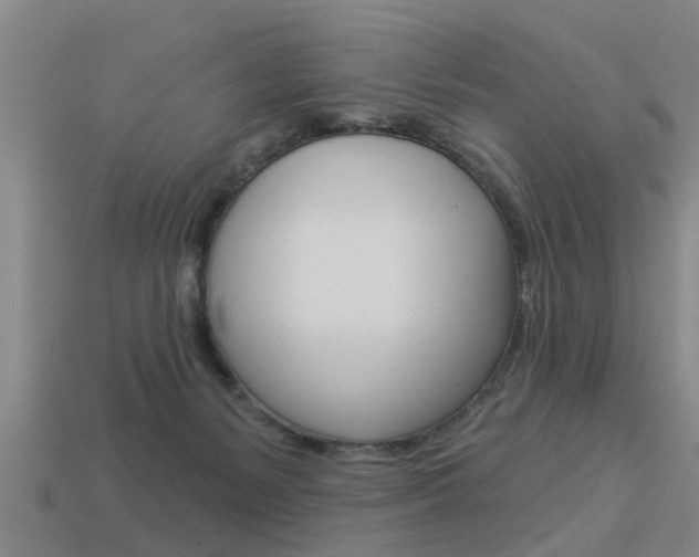 X0000113340127200909151014