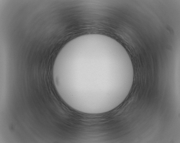 X0000113340129200909151014