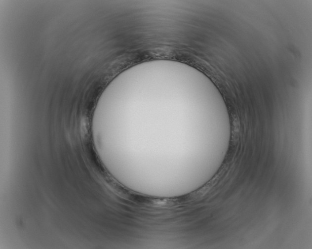 X0000113340130200909151014