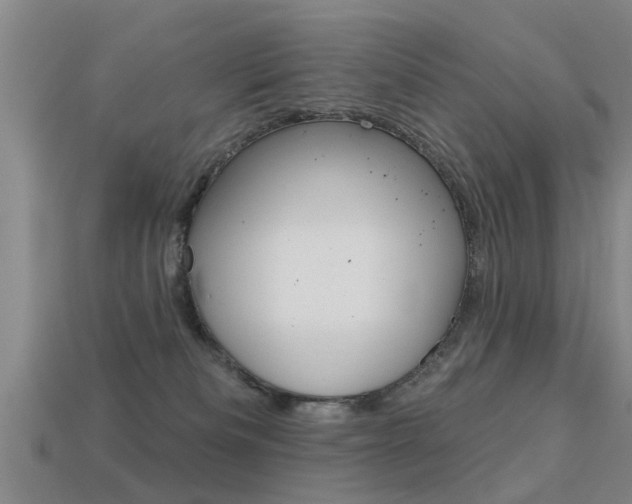 X0000113340133200909151014