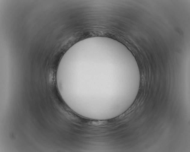 X0000113340134200909151014