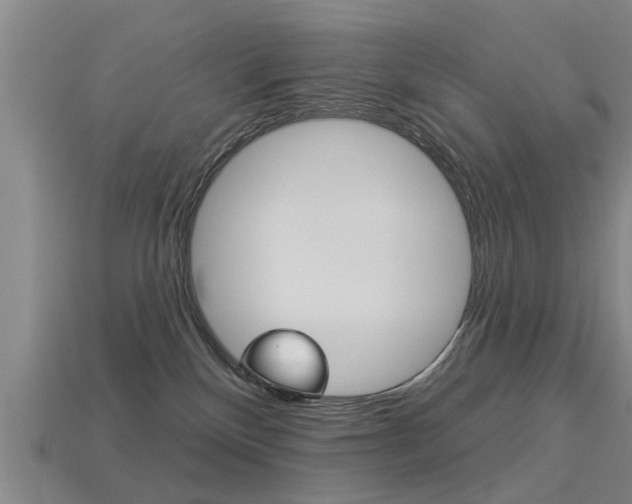 X0000113340136200909151014
