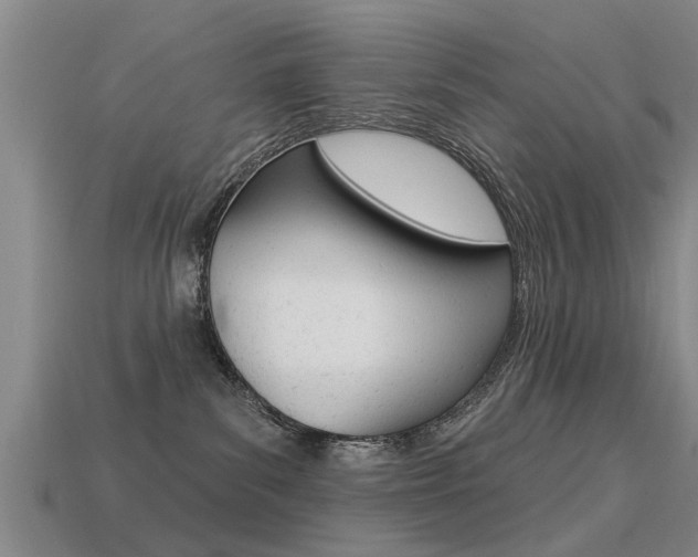 X0000113340139200909151013