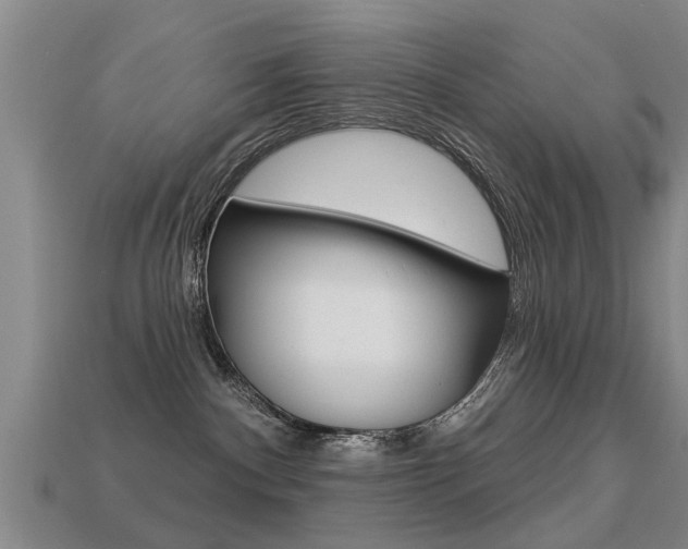 X0000113340140200909151013