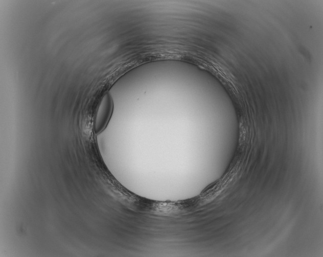 X0000113340141200909151013