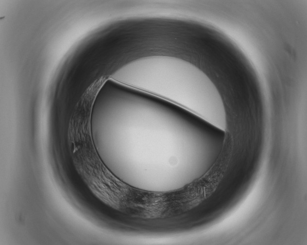 X0000113340143200909151013