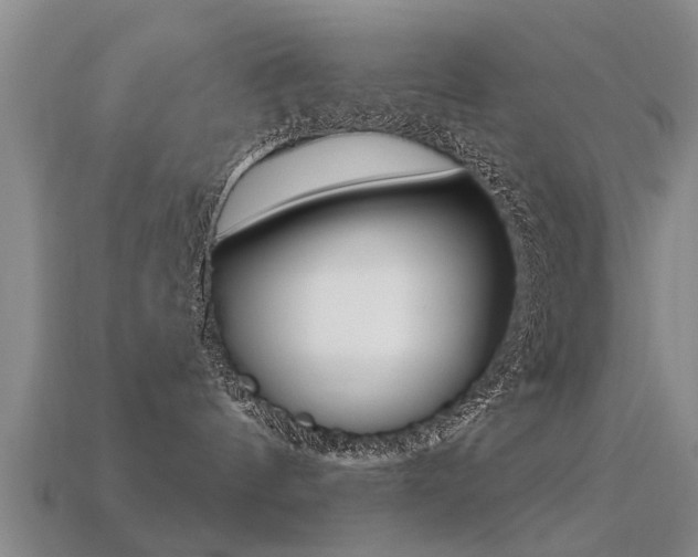 X0000113340144200909151013