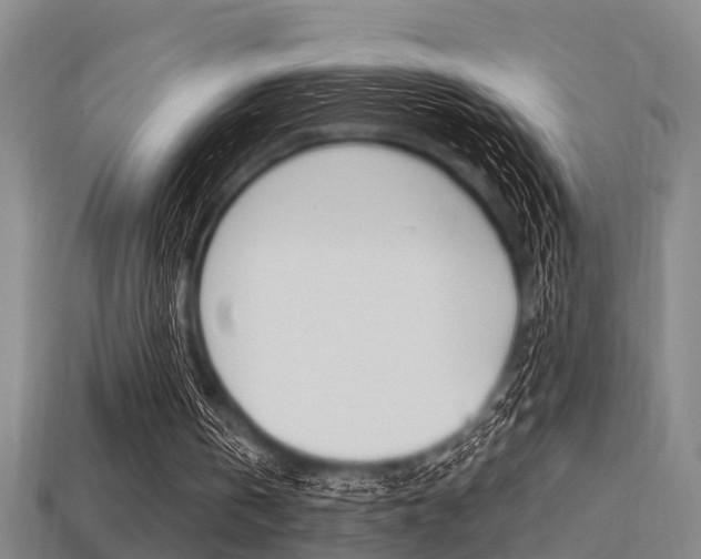 X0000113340146200909151013
