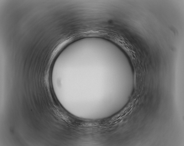 X0000113340147200909151013