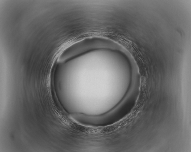 X0000113340148200909151013