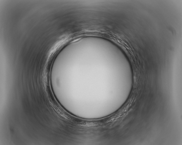 X0000113340149200909151013