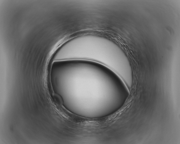 X0000113340150200909151013