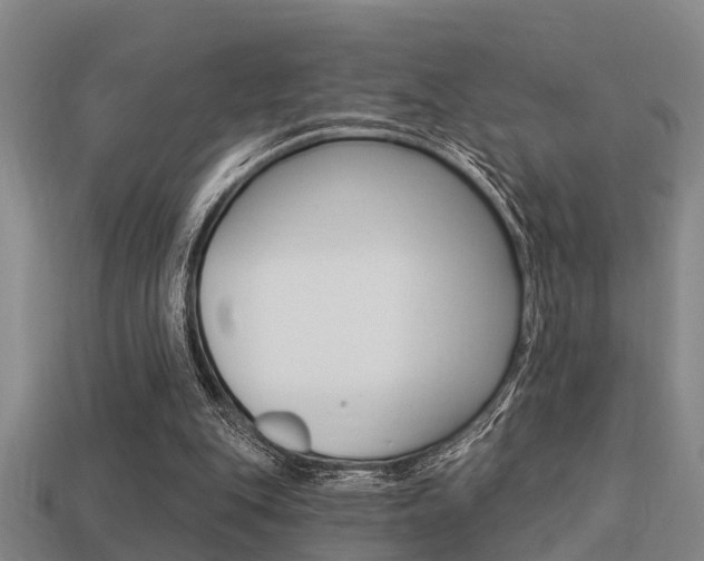 X0000113340151200909151013
