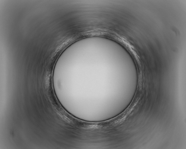 X0000113340153200909151013