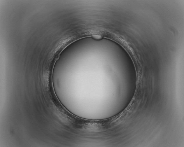 X0000113340154200909151013