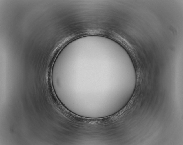 X0000113340155200909151013