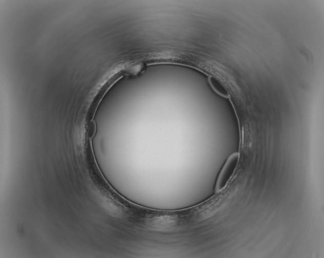 X0000113340156200909151013