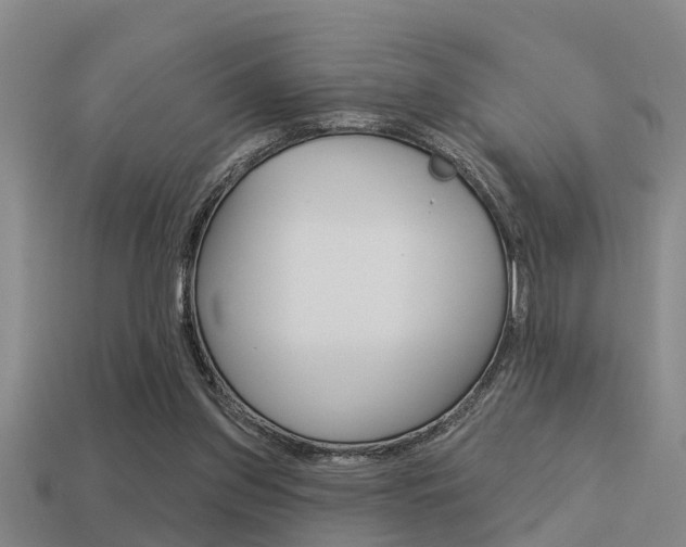 X0000113340157200909151013