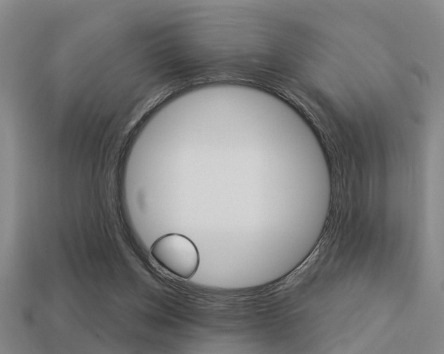 X0000113340158200909151013