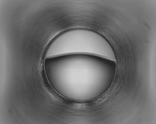 X0000113340160200909151013