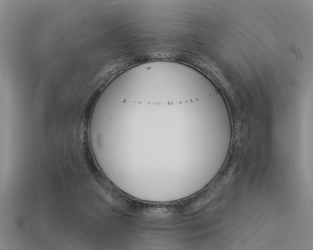 X0000113340161200909151013