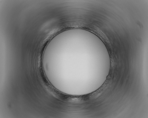 X0000113340163200909151013