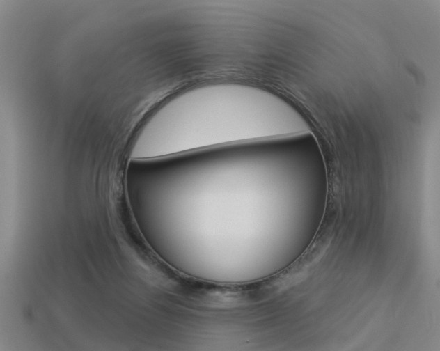 X0000113340164200909151013